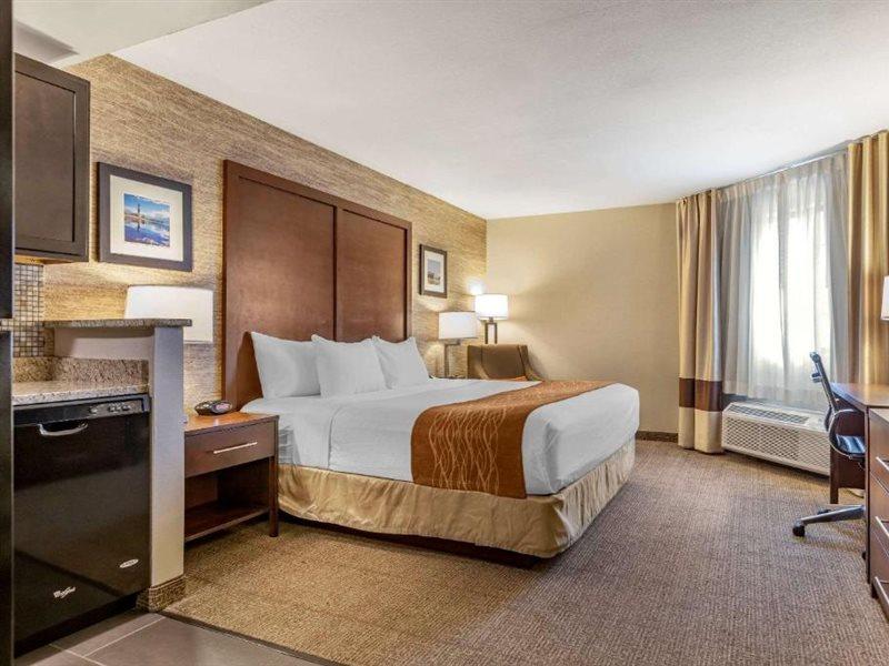 Comfort Inn Ludington Near Us-10 Ngoại thất bức ảnh